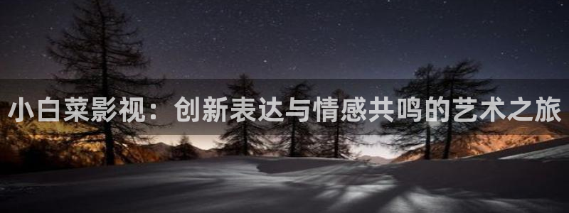 天天综合影院久久久久久