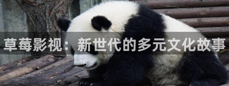 资兴天天影城新区